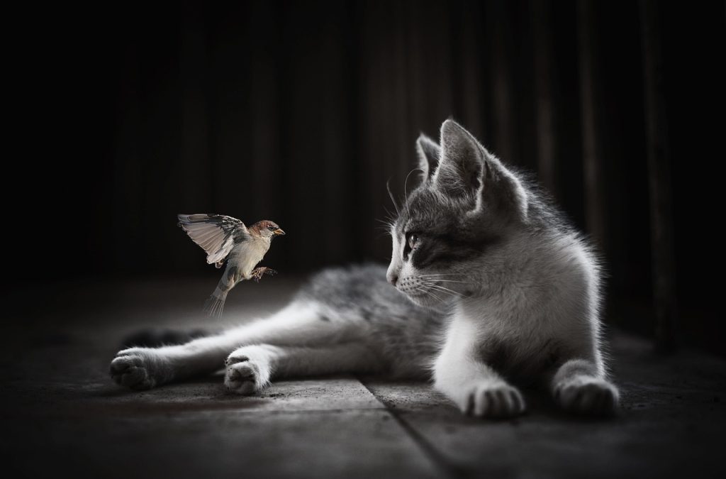 Valores Personales: La Clave Para Vivir en Armonía en la sociedad actual