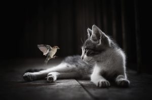 Valores Personales: La Clave Para Vivir en Armonía en la sociedad actual