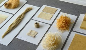 La innovación en materiales de packaging: Nuevas tendencias para el futuro